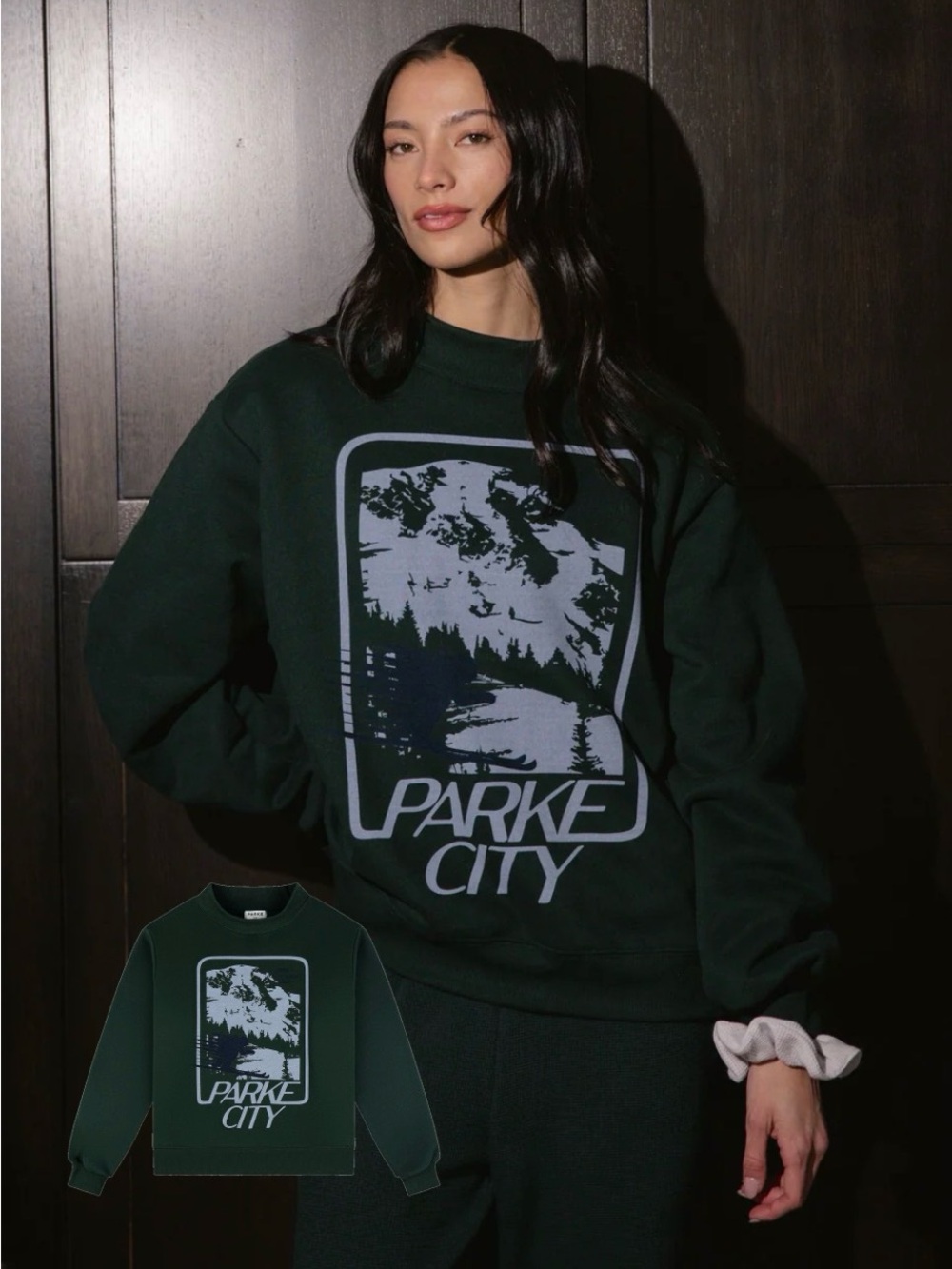 NWT Parke Sport Graphic Mockneck Size L/XL